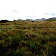 Hund und Herrlich_Irland_Connemara Nationalpark