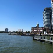 Hund und Herrlich_Niederlande_Rotterdam