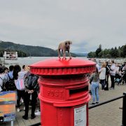 Hund und Herrlich_Grossbritannien_England_Lake District_Bowness_Lake Windermere