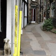 Hund und Herrlich_Grossbritannien_England_Lake District_Windermere