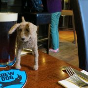 Hund und Herrlich_Grossbritannien_England_Lake District_Cockermouth