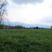 Hund und Herrlich_Wanderung von Wetzikon (ZH) nach Rapperswil (St. Gallen)