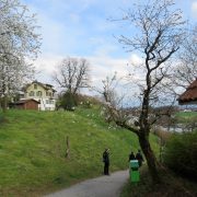 Hund und Herrlich_Wanderung von Wetzikon (ZH) nach Rapperswil (St. Gallen)