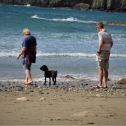 Hund und Herrlich_Grossbritannien_Wales_Anglesey